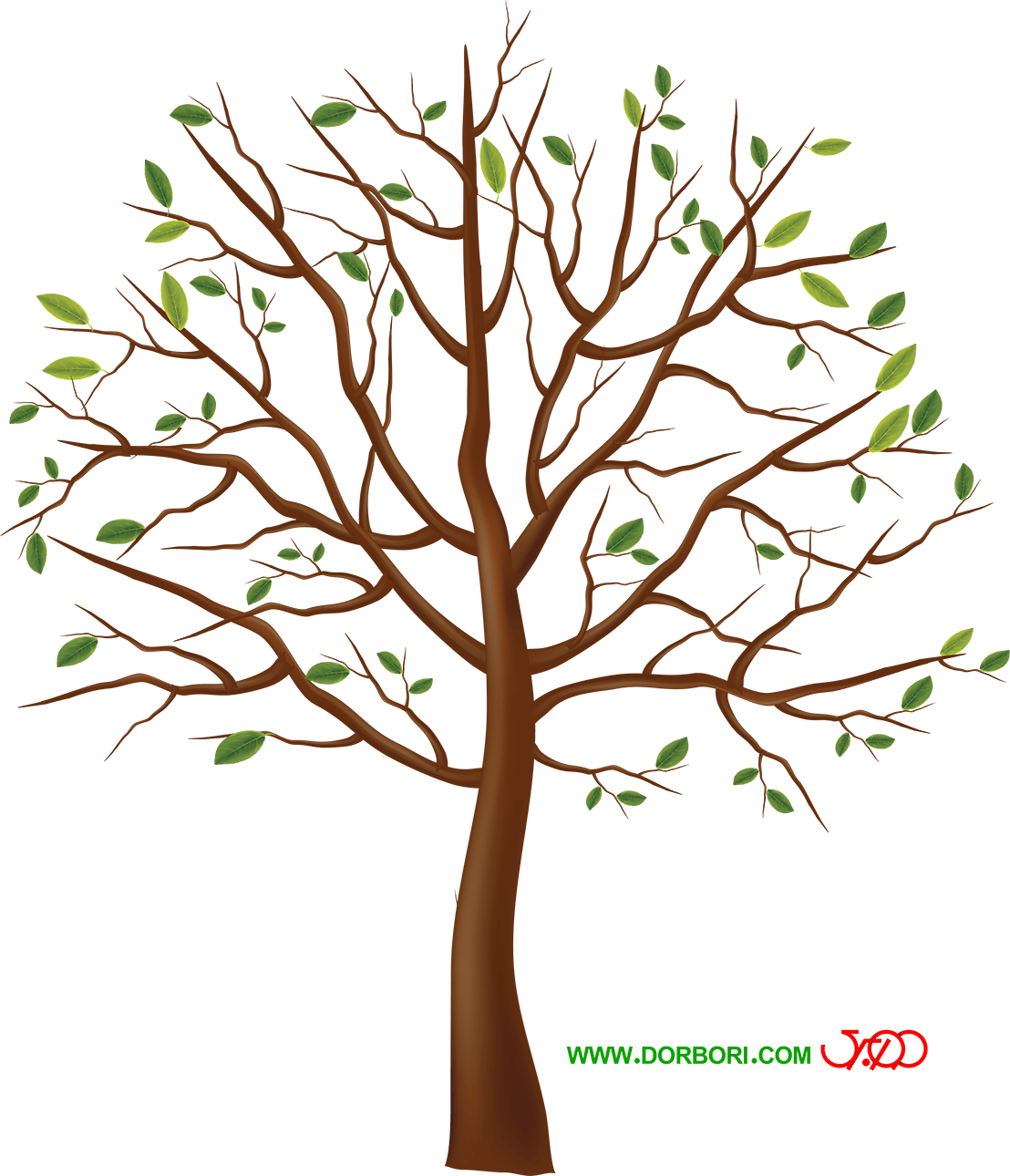 tree-008_DorBori_Com_thum